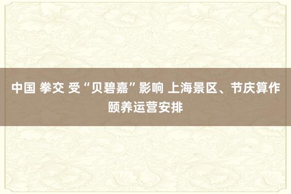 中国 拳交 受“贝碧嘉”影响 上海景区、节庆算作颐养运营安排