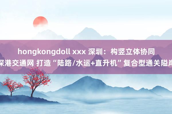 hongkongdoll xxx 深圳：构竖立体协同深港交通网 打造“陆路/水运+直升机”复合型通关隘岸