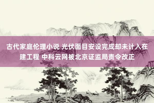 古代家庭伦理小说 光伏面目安设完成却未计入在建工程 中科云网被北京证监局责令改正