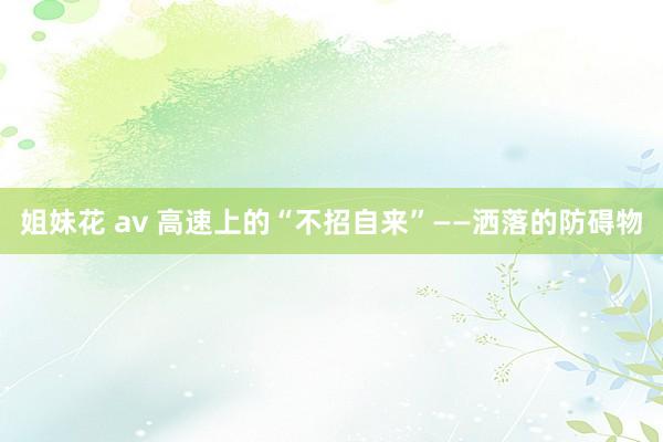 姐妹花 av 高速上的“不招自来”——洒落的防碍物