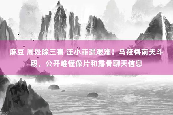 麻豆 周处除三害 汪小菲遇艰难！马筱梅前夫斗殴，公开难懂像片